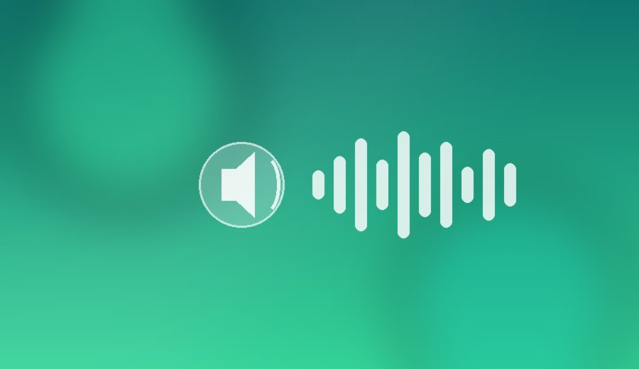 Text-to-Audio Generation by Ranaverse